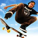 Ícone da aplicação Skateboard Party 3